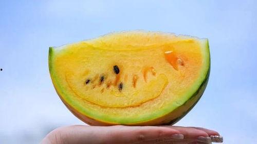 吃瓜得瓜瓜,揭秘瓜界奇闻异事