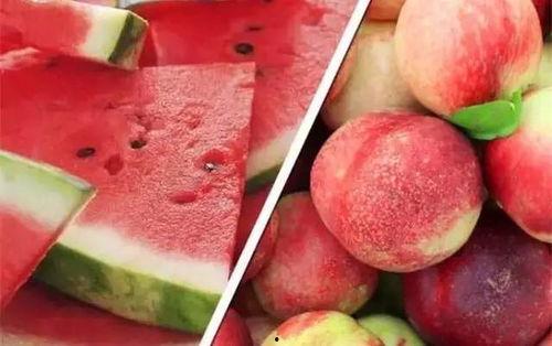 桃厂吃瓜驿站,揭秘娱乐圈幕后故事