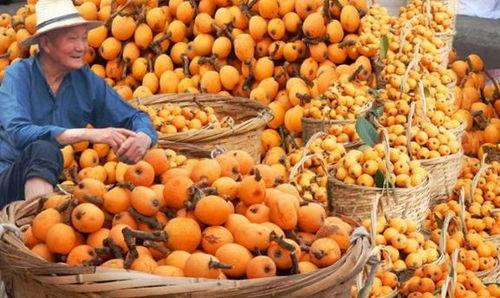 枇杷视频吃瓜专区,吃瓜专区，带你领略热门话题的趣味瞬间