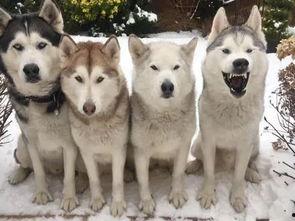 眼尖的吃瓜网友,娱乐圈那些不为人知的幕后故事