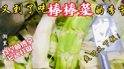 乐山音乐老师吃瓜,揭秘音乐圈幕后趣闻