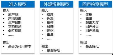 吃瓜模型搭建,网络时代下的舆论风向标