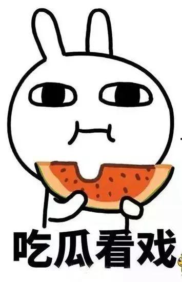 吃瓜挂机,揭秘吃瓜挂机的趣味与智慧