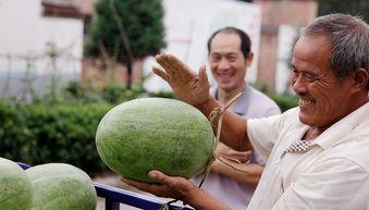 吃瓜的人拍照好看吗