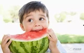 夏季吃瓜拍照文案搞笑,笑果连连“瓜”事多