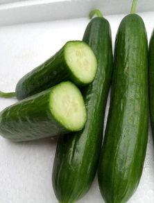 绿瓜吃,探寻绿色健康生活的秘密