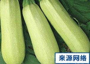 葫白瓜怎么吃,探索家常美味新选择