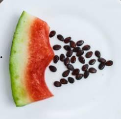 吃瓜吃籽不吐籽,品味生活真滋味