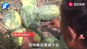 偃师最新吃瓜新闻,揭秘当地热点事件背后的真相