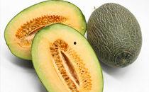 哈密瓜应该什么季节吃,尽享哈密瓜的甘甜时光