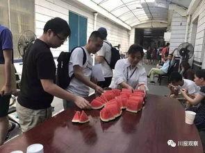 兰州吃瓜群众图片,吃瓜群众的欢乐时光