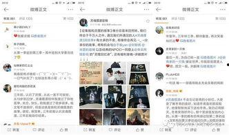 吾爱摆渡吃瓜,揭秘娱乐圈吃瓜背后的真相与趣味