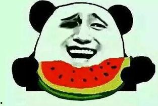 表白的吃瓜群众,揭秘表白背后的甜蜜与酸涩