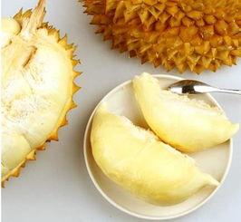 吃榴莲的瓜,揭秘热带果王与神秘果实的传奇故事