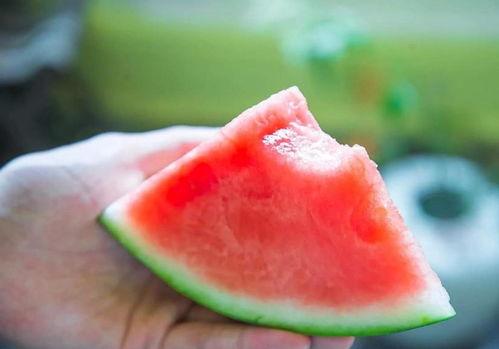 开心吃瓜的画面,共享夏日清凉时光