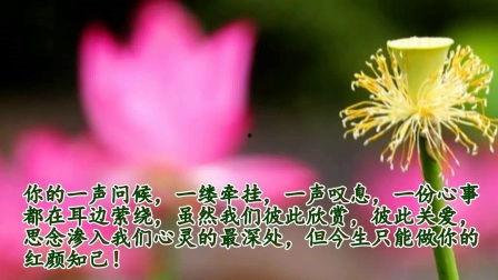 看花和吃瓜朗诵配乐,看花吃瓜的视听盛宴