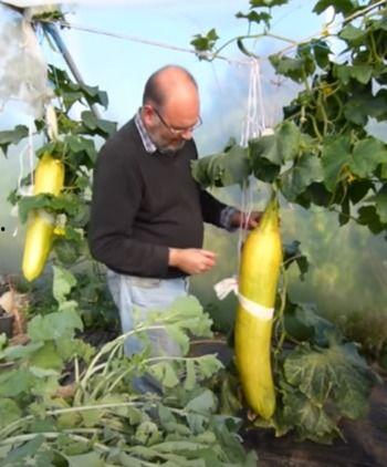 吃瓜吐米,揭秘娱乐圈的甜蜜与苦涩