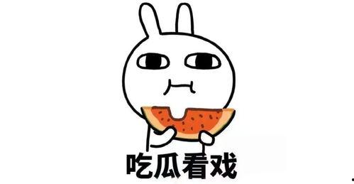 带你吃瓜小号全集,揭秘娱乐圈幕后风云