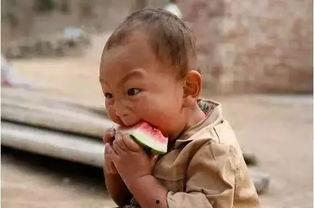 自带板凳的吃瓜娃,揭秘网络热议背后的趣味人生