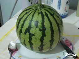 流口水吃瓜,揭秘娱乐圈那些鲜为人知的幕后故事