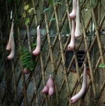 带你吃瓜搞笑国画,带你领略搞笑国画中的趣味人生