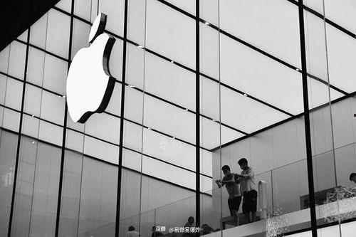 吃瓜张先生,揭秘娱乐圈幕后故事