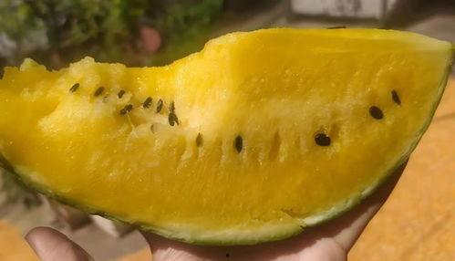 黄瓤瓜咋吃,探索美味与营养的完美结合