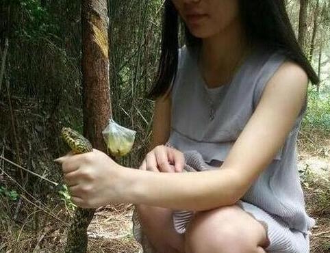 云南吃瓜姑娘,揭秘云南特色美食背后的故事