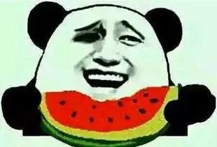 吃瓜群众挑瓜是真的吗视频