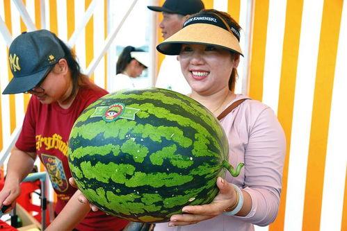 大王的瓜怎么吃,轻松解锁美味新食法