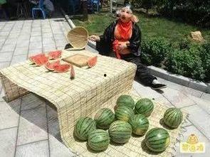 吃瓜吃青菜图片搞笑