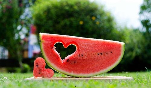 吃瓜壁纸,揭秘吃瓜壁纸背后的趣味与潮流