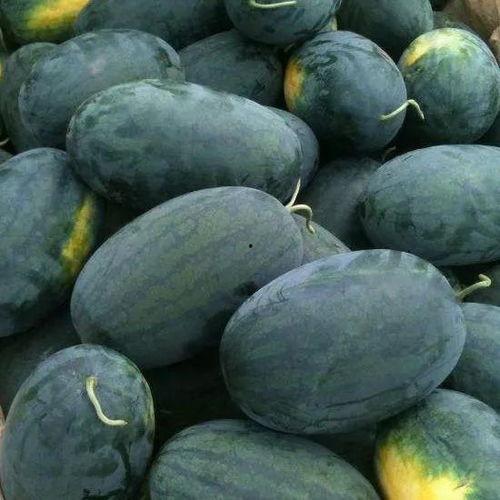 甜过初恋吃瓜,吃瓜群众揭秘娱乐圈甜蜜瓜果