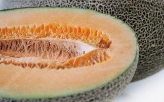 吃蜜瓜嘴里疼,揭秘吃蜜瓜嘴疼的真相