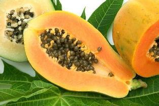 胃病可以吃瓜马肉吗